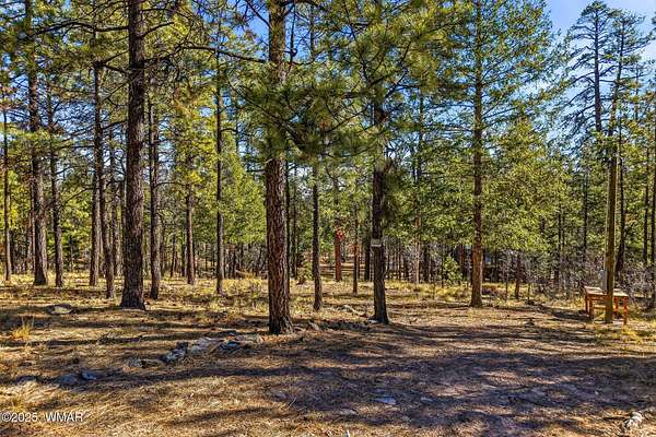 0.46 Acres of Residential Land for Sale in Alpine, Arizona