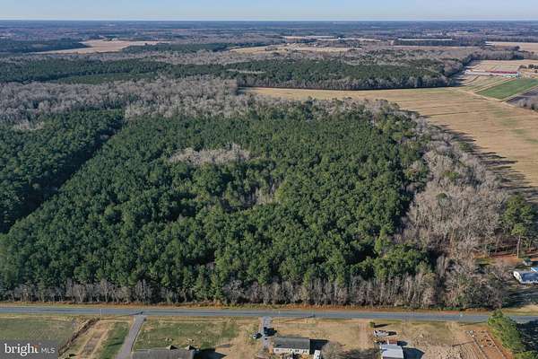 38.7 Acres of Recreational Land for Sale in Willards, Maryland