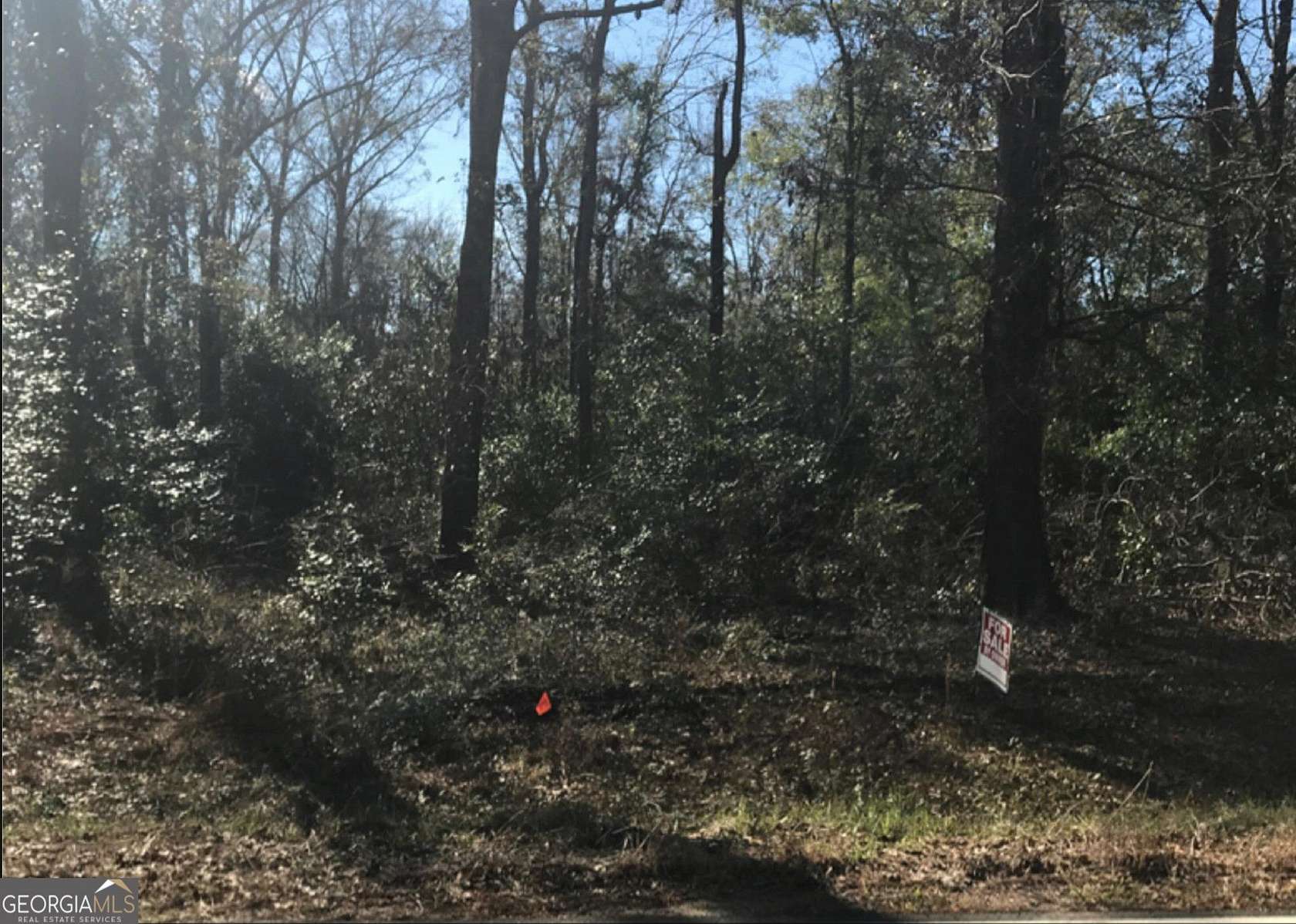 1 Acre of Residential Land for Sale in Cordele, Georgia