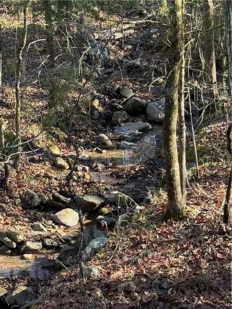 12 Acres of Recreational Land for Sale in Dardanelle, Arkansas