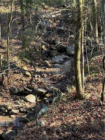 12 Acres of Recreational & Residential Land for Sale in Dardanelle, Arkansas
