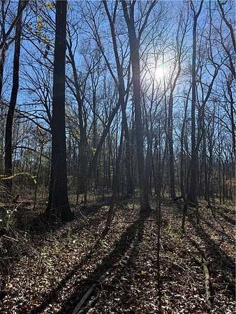 15 Acres of Recreational Land for Sale in Dardanelle, Arkansas