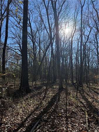 15 Acres of Recreational & Residential Land for Sale in Dardanelle, Arkansas