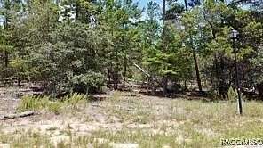 0.29 Acres of Residential Land for Sale in Homosassa, Florida