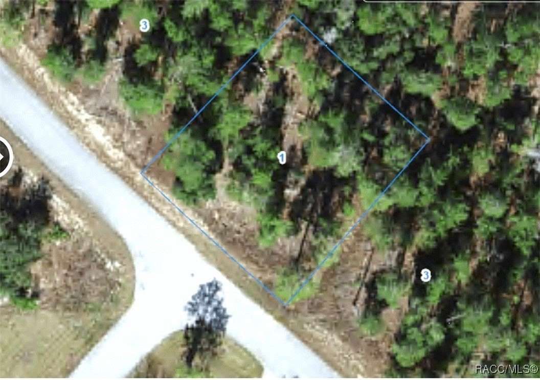 0.29 Acres of Residential Land for Sale in Homosassa, Florida