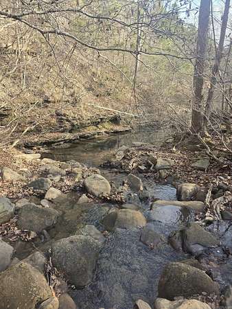 27 Acres of Recreational Land for Sale in Clinton, Arkansas