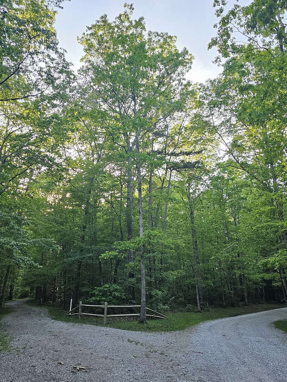 3.6 Acres of Residential Land for Sale in Coalmont, Tennessee