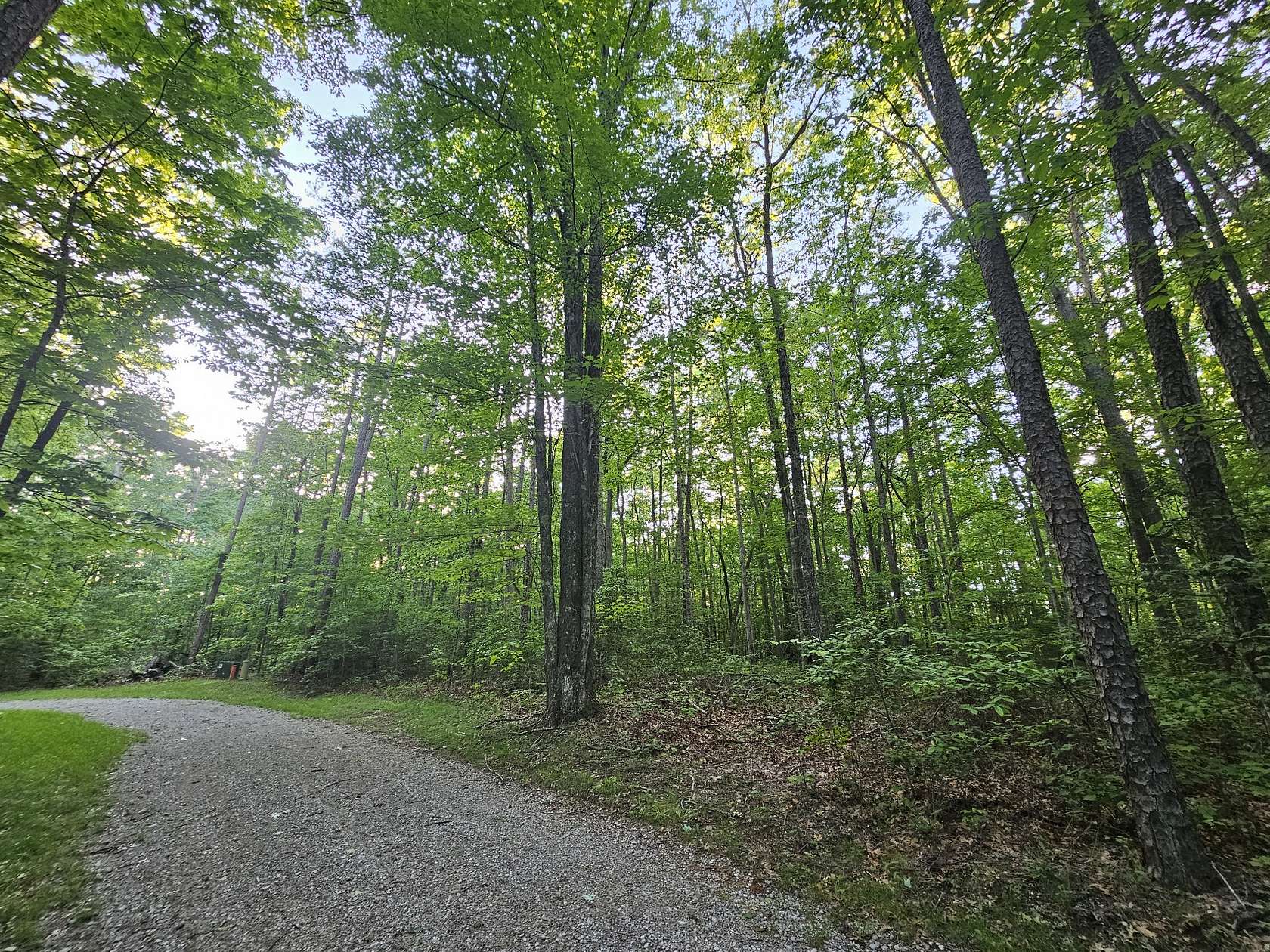 3.57 Acres of Residential Land for Sale in Coalmont, Tennessee