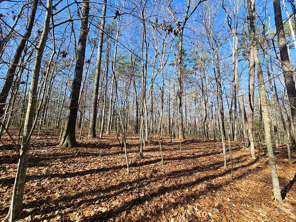 3.57 Acres of Residential Land for Sale in Coalmont, Tennessee