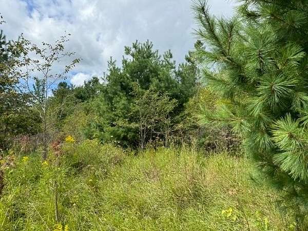 37 Acres of Land for Sale in Cheboygan, Michigan