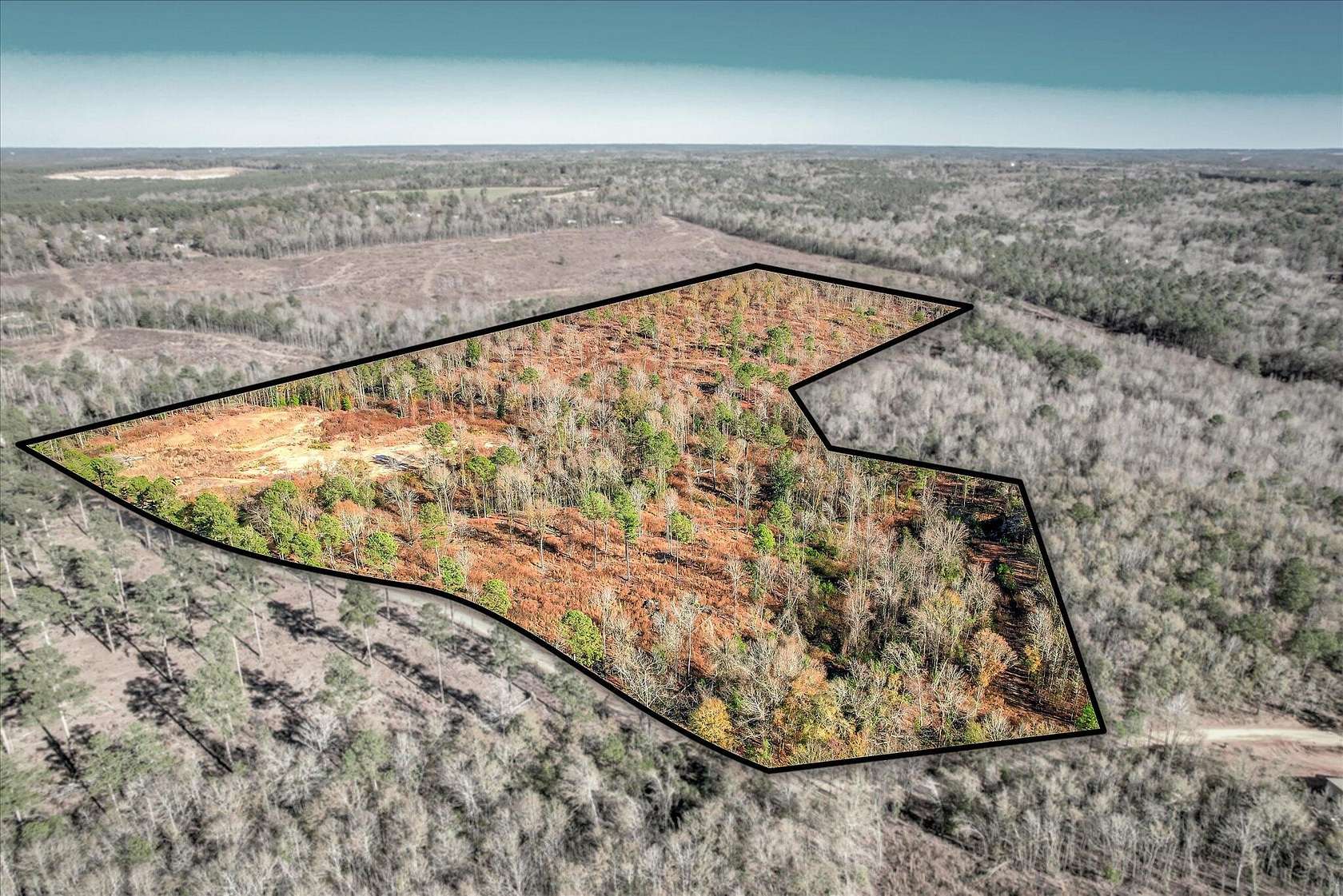 42.4 Acres of Recreational Land for Sale in Beech Island, South Carolina