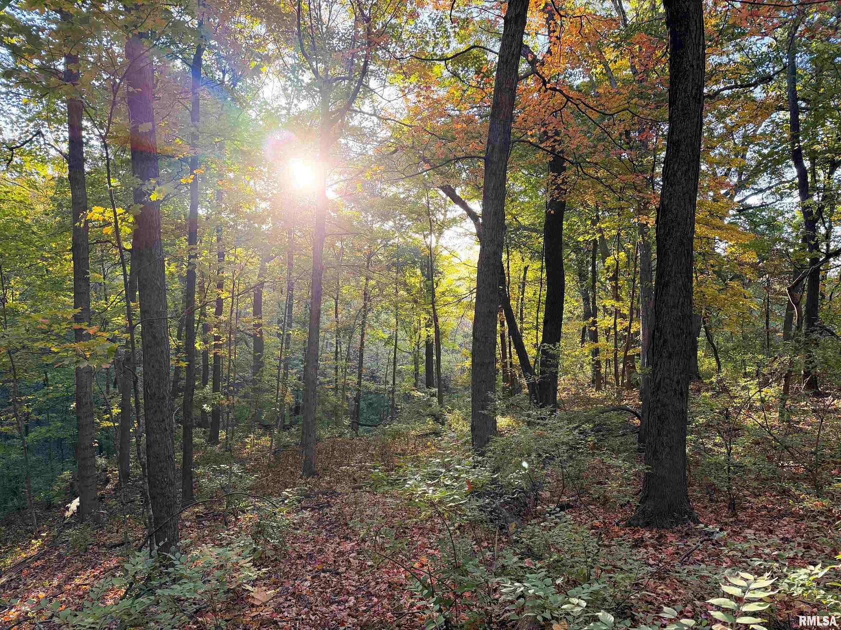 159 Acres of Land for Sale in Dunlap, Illinois