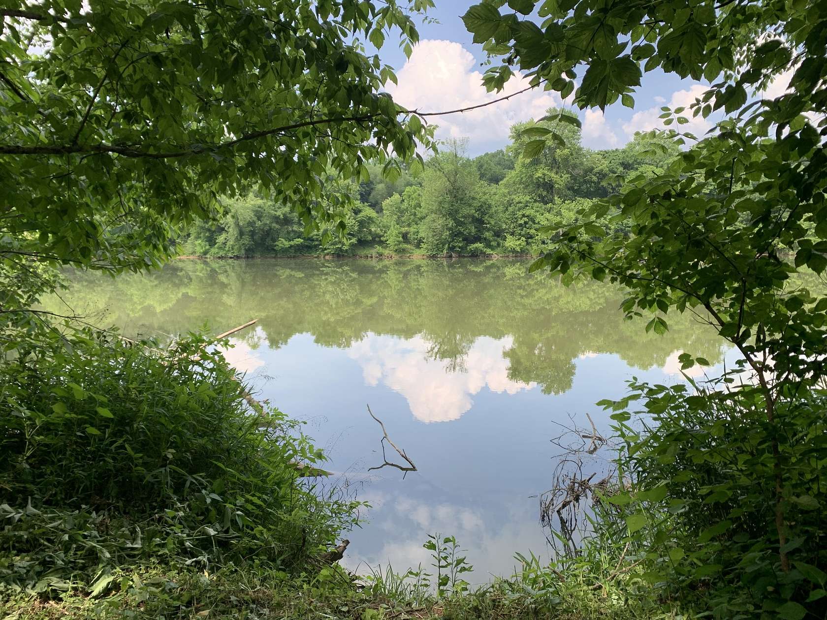 5 Acres of Agricultural Land for Sale in Carthage, Tennessee