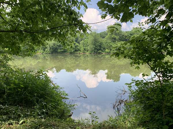 5 Acres of Agricultural Land for Sale in Carthage, Tennessee