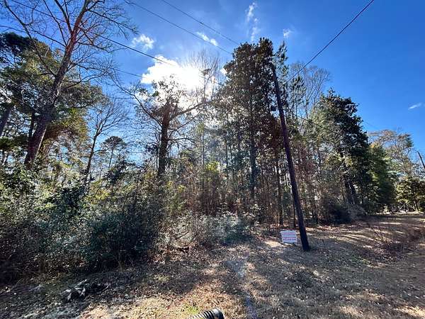 0.2 Acres of Residential Land for Sale in Woodville, Texas