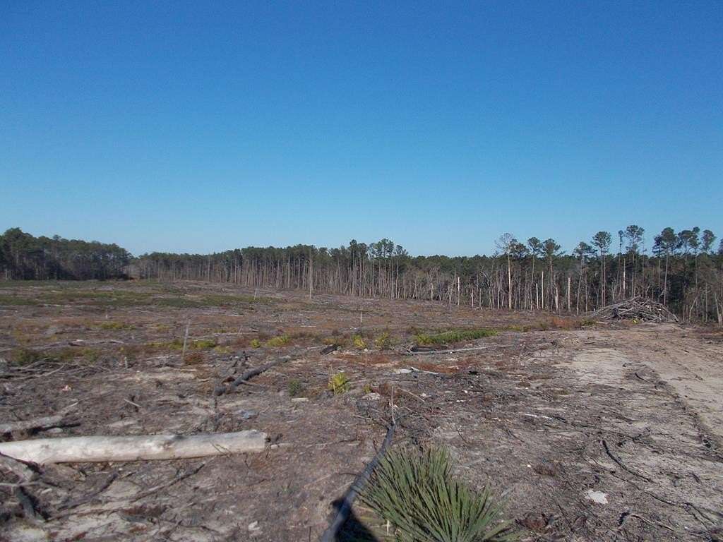 126 Acres of Recreational Land for Sale in Axson, Georgia