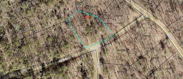 1 Acre of Residential Land for Sale in Ellijay, Georgia