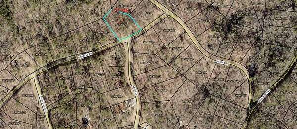1 Acre of Residential Land for Sale in Ellijay, Georgia