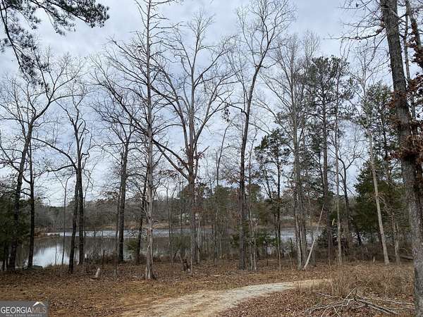 1 Acre of Land for Sale in Lincolnton, Georgia