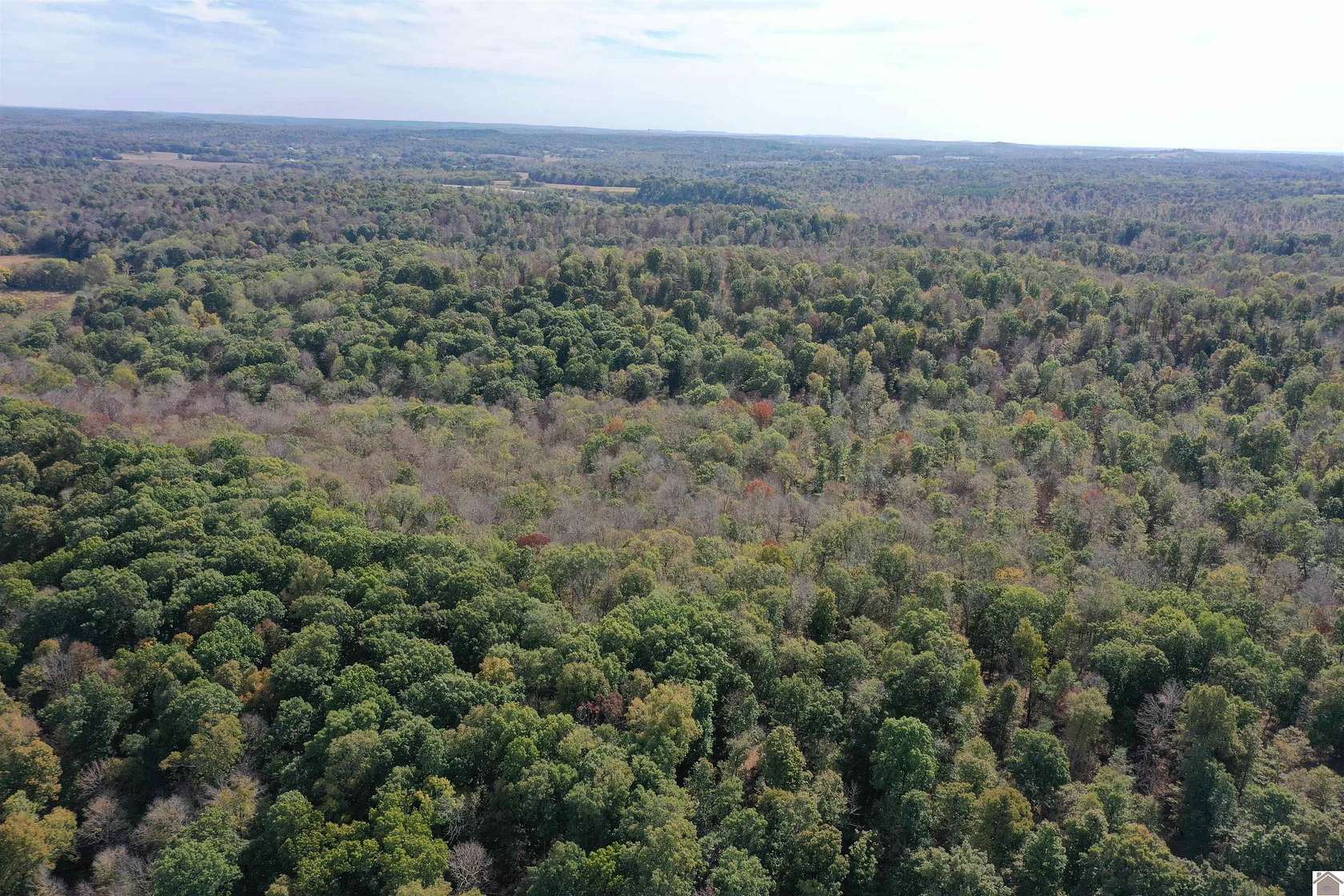 113 Acres of Recreational Land & Farm for Auction in Princeton, Kentucky