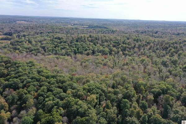 113 Acres of Recreational Land & Farm for Auction in Princeton, Kentucky