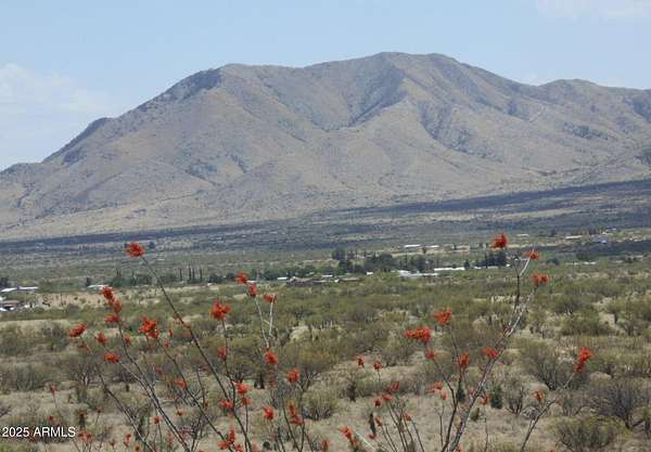 19 Acres of Recreational Land & Farm for Sale in Dragoon, Arizona