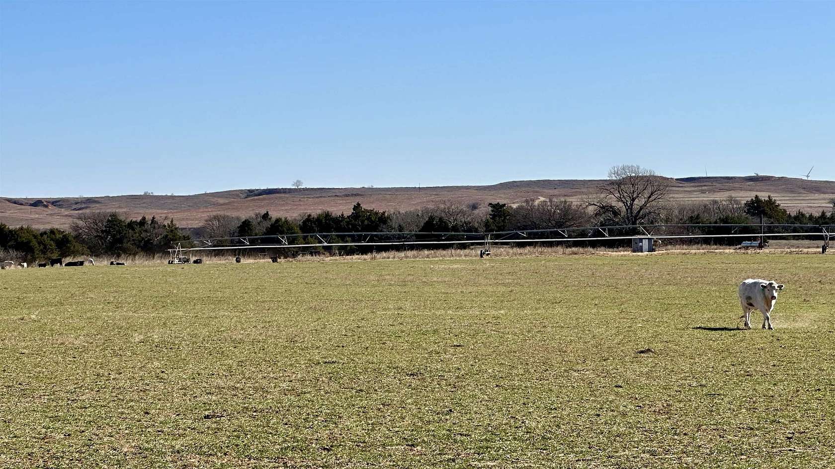 490 Acres of Recreational Land & Farm for Sale in Taloga, Oklahoma