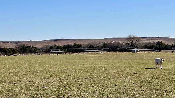 490 Acres of Recreational Land & Farm for Sale in Taloga, Oklahoma