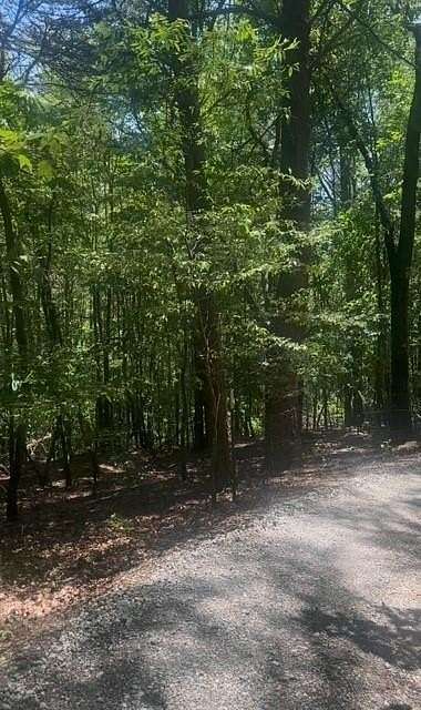15.9 Acres of Land for Sale in Cleveland, Georgia