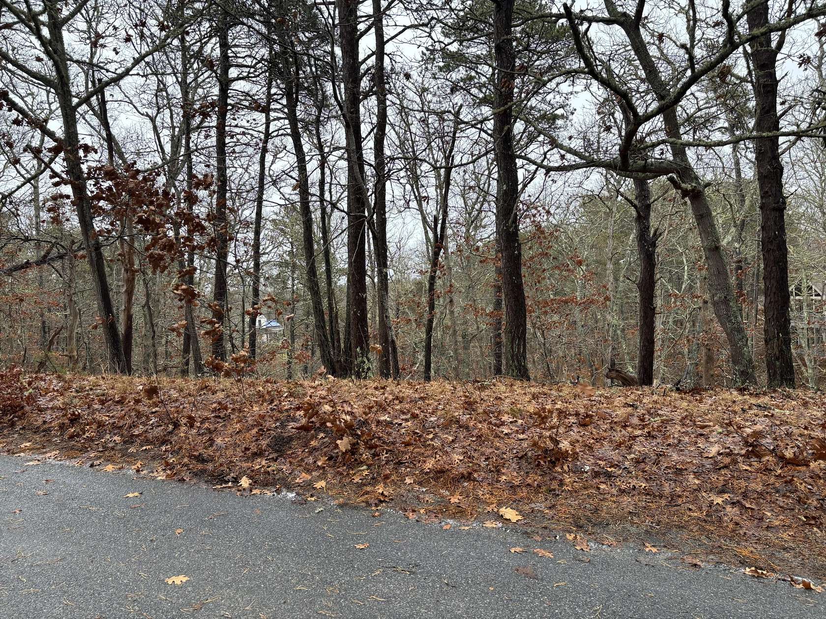 1.36 Acres of Residential Land for Sale in Wellfleet, Massachusetts