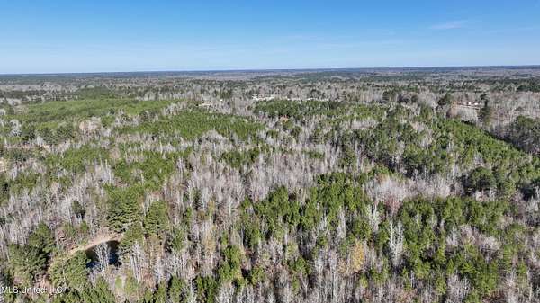 79 Acres of Recreational Land for Sale in Brookhaven, Mississippi