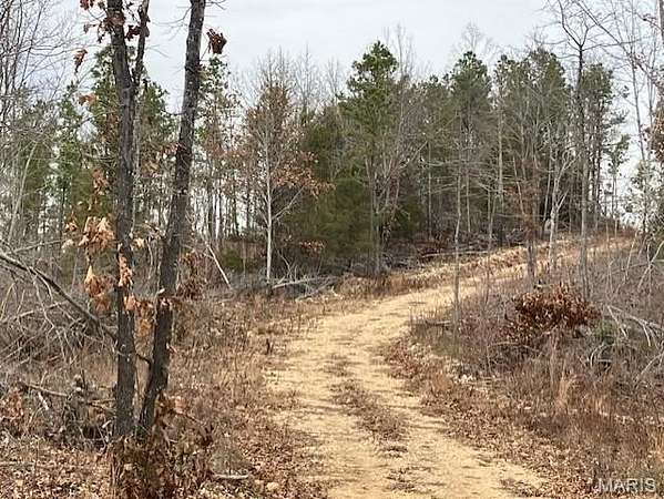 23.8 Acres of Recreational Land for Sale in Fredericktown, Missouri