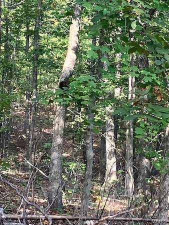 22 Acres of Recreational Land for Sale in Fredericktown, Missouri