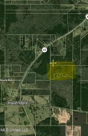 41.5 Acres of Land for Sale in Canton, Mississippi