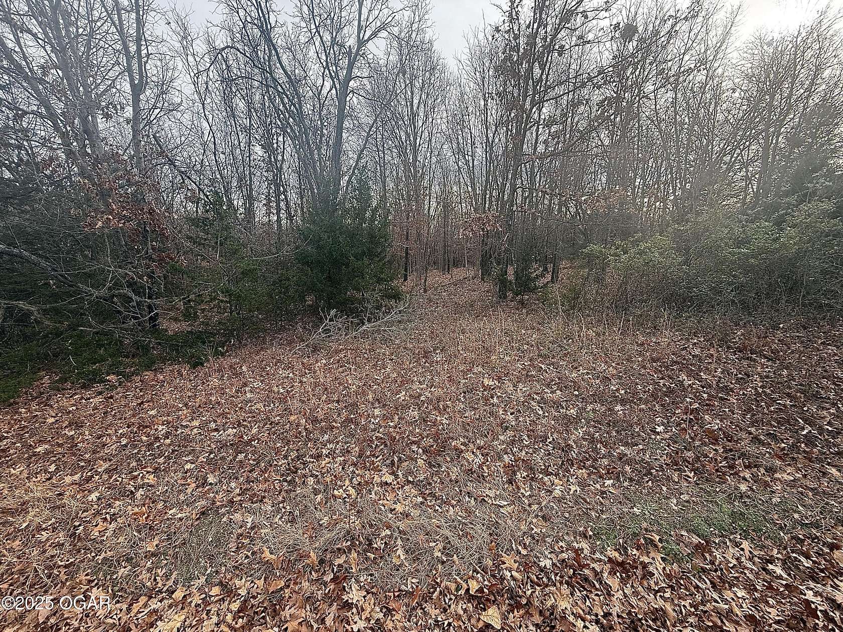 1 Acre of Residential Land for Sale in Loma Linda, Missouri