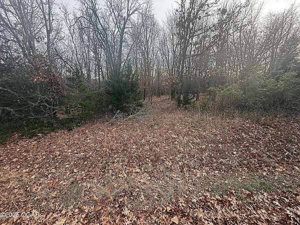 1 Acre of Residential Land for Sale in Loma Linda, Missouri