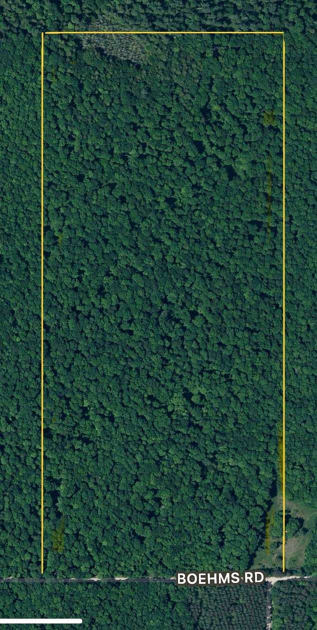 86 Acres of Recreational Land for Sale in Bowler, Wisconsin