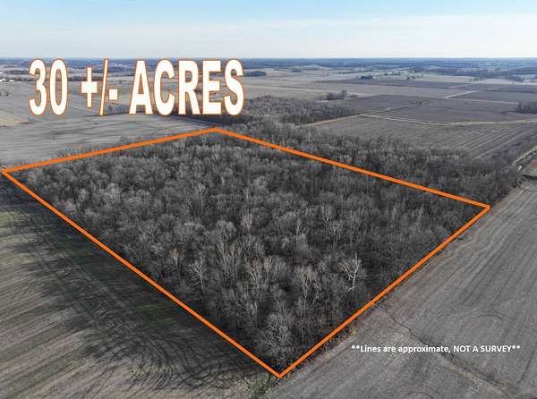 30 Acres of Recreational Land for Sale in Ellery, Illinois