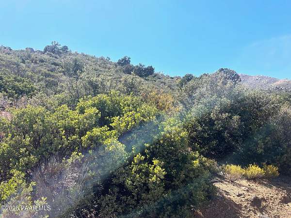 40 Acres of Land for Sale in Wikieup, Arizona