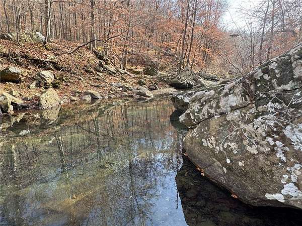 119 Acres of Recreational Land with Home for Sale in Parthenon, Arkansas