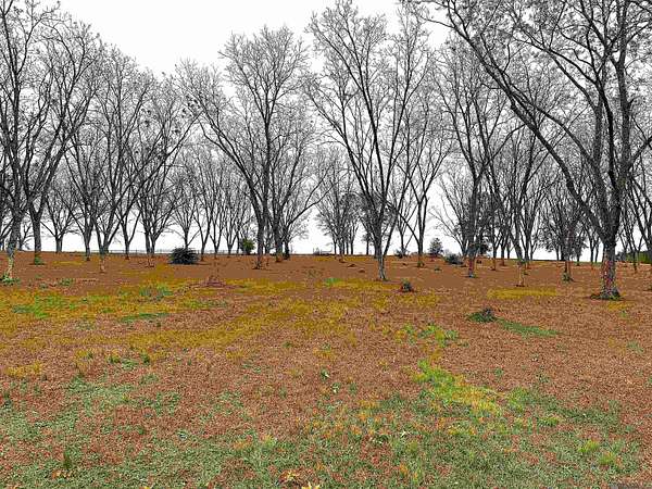 5.74 Acres of Residential Land for Sale in Jackson, Louisiana