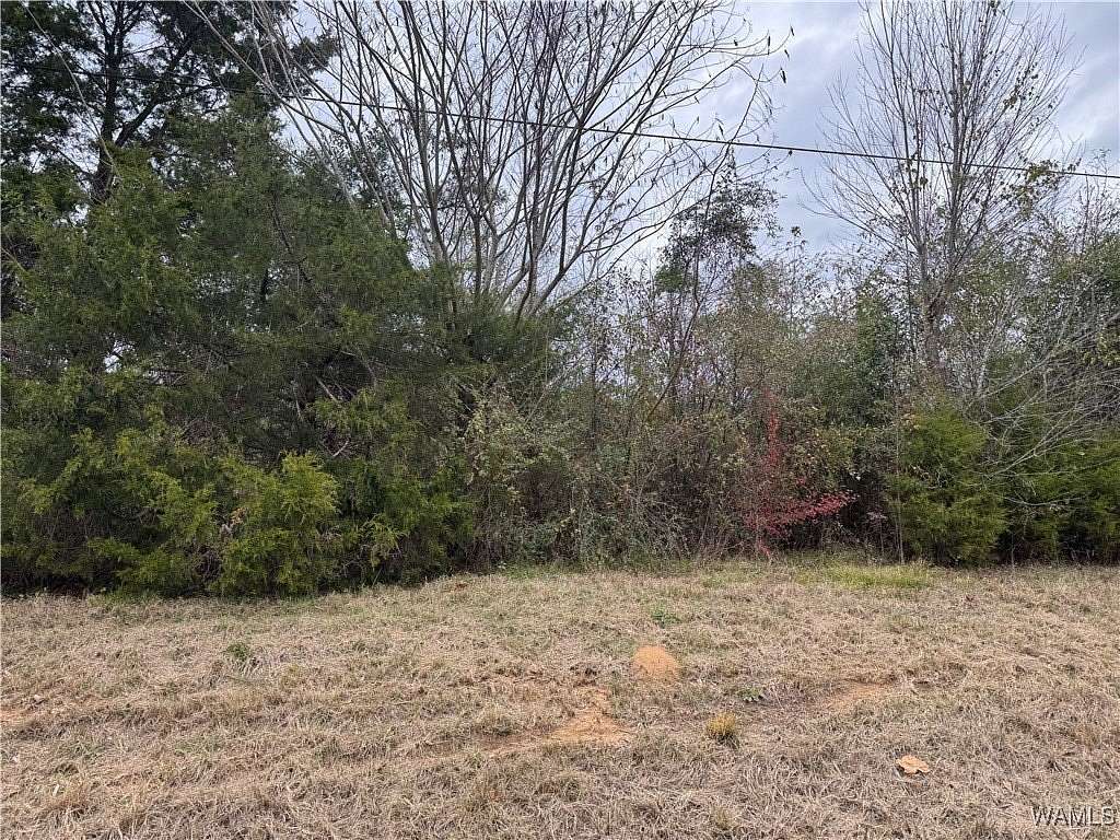 6.2 Acres of Land for Sale in Centreville, Alabama