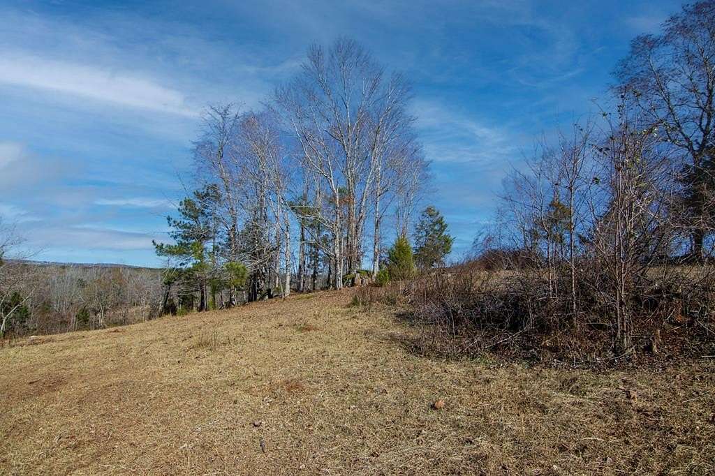 10.4 Acres of Land for Sale in Shiloh, Georgia