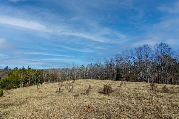 12 Acres of Land for Sale in Shiloh, Georgia