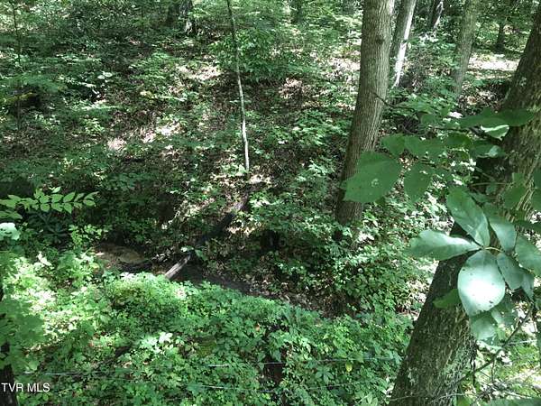 0.53 Acres of Residential Land for Sale in Greeneville, Tennessee