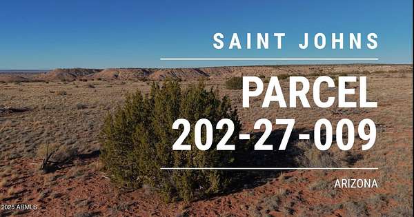 47.7 Acres of Land for Sale in St. Johns, Arizona