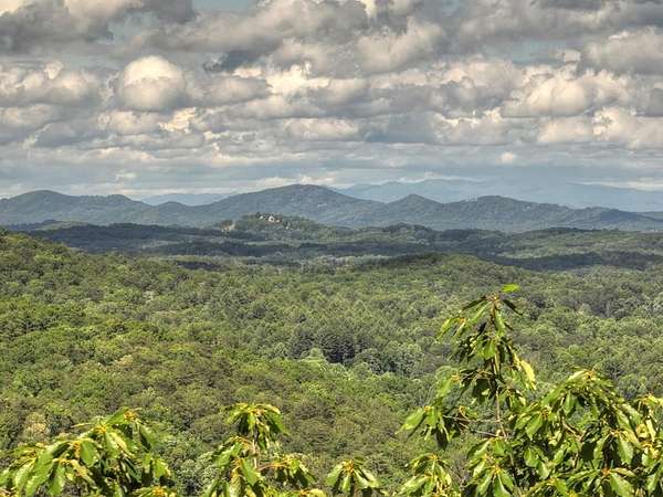 5.6 Acres of Land for Sale in Epworth, Georgia