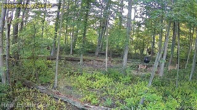 10 Acres of Recreational Land for Sale in Bellevue, Michigan