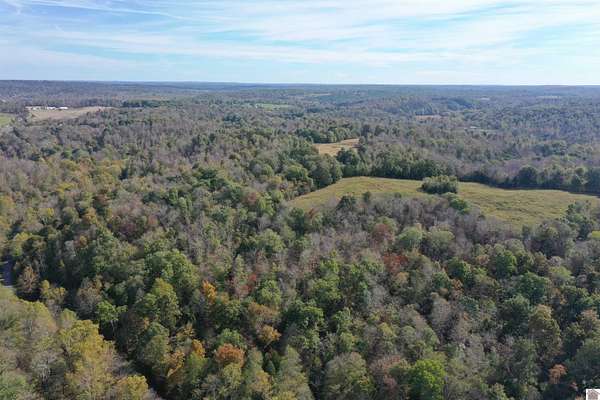 81.8 Acres of Recreational Land & Farm for Sale in Princeton, Kentucky