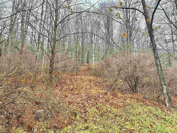 10.9 Acres of Recreational & Residential Land for Sale in Roanoke, West Virginia